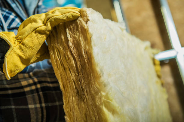 Best Eco-Friendly Insulation in Maxwell, CA